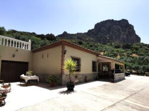 El Tajo and the Tajo Algarín