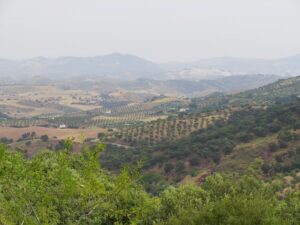 From the Dolmen del Gigante track towards Olvera in the haze