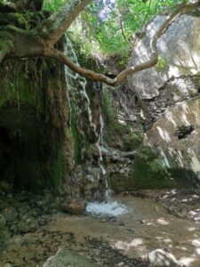 Inside El Molino del Susto