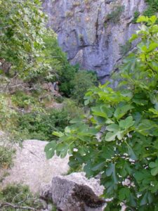 Manfred at the entrance to the Sima del Villaluenga