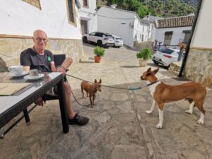 Manfred minding the dogs while Steve got his coffee at the local hotel, La Posada, in Villaluenga del Rosario