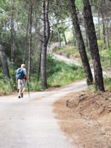 Manfred on the road through the trees at the beginning of the track to the Dolmen del Gigante