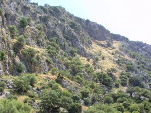 Recreation area above El Cintillo y Aguas Nuevas