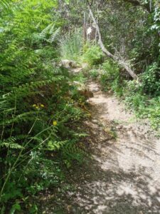 The El Molino del Susto track