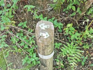 The confusing double arrow on the El Molino del Susto track