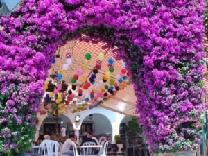The decorated plaza during the festival at El Bosque
