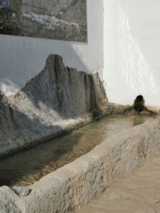 The fountain, the end of the underground aqueduct at Villaluenga del Rosario