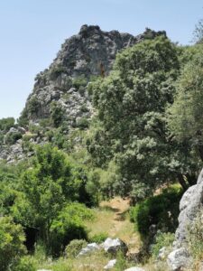 The lovely track to the Ojo del Moro - Eye of the Moor