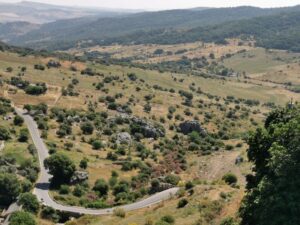 The road below Grazalema looking towards the East and the cork forested hills