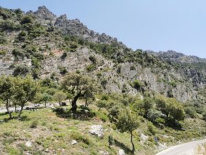 The road from Benamahoma to Grazalema and the rocky cliffs above
