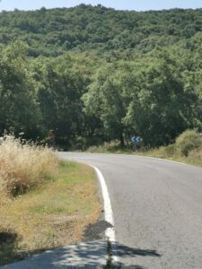 The road through the cork forests near Grazalema