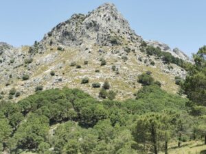 The rocky pinnacle as seen from Puerto del Boyar