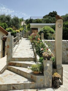 The steps and walk way to the pool are with roses, the cottage up the back and grapevines
