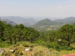 The view from Puerto del Boyar deep into the Parque Natural Sierra de Grazlaema - Grazalema National Park
