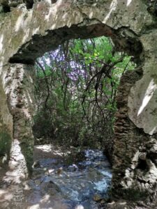 The view from inside El Molino del Susto to the outside