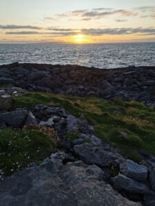 Wildflowers, rocks, ocean, islands and the sunset near the Aran Islands