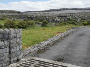 A cattle stop over the road into The Burren