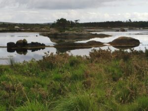 Beauty in the waterways on the road to Roundstone