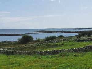 Fields wrapped in ancient stone walls by the ocean in Ireland
