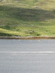Kayakers on Killary Fjord
