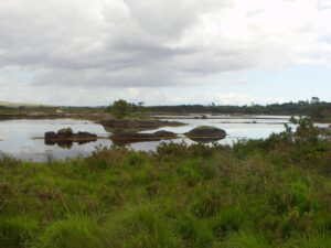 One of the still ponds and shadows in the waterways