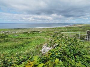 Over the fields to Fanore Beach