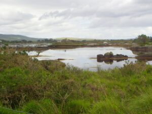 Still ponds by the roadside
