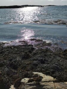 Sunset glimmers from the west over Mannin Bay Blueway