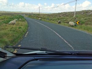 The narrow road through the boglands on Achill Island where the sheep roam free