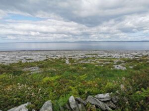 The rocky foreshore in The Burren above Galway Bay