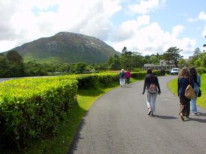 Walking west by Pollacapall Lough on the road below Kylemore Abby