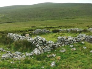 A sheep in a large Deserted Village House, Achill Island