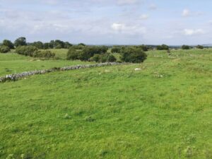 A stone fence in the green fields in County Roscommon