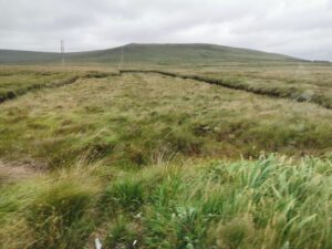 Boglands near Bangor Erris