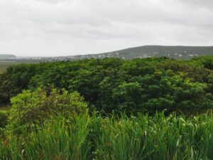 Houses on the hillside above Keel Achill Island