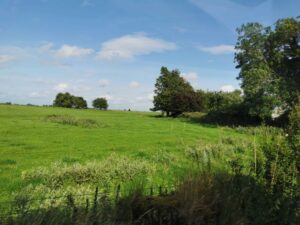 The Irish countryside on the road to Killaloe