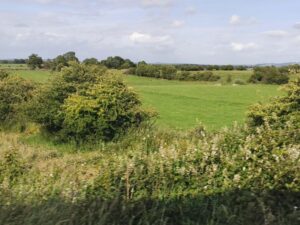 The countryside, Grange, Country Roscommon