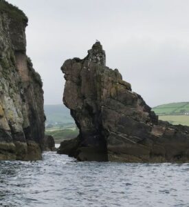 A bird sits upon the remnants of the platform from the old light in Dingle Bay