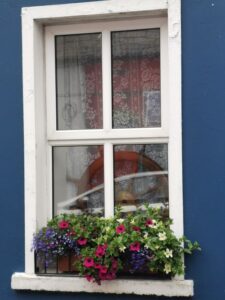Flowers in the windowbox of 'The Captains House' accommodation, Dingle