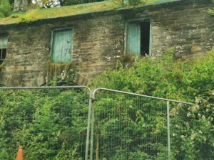 Spot the cat in the window of the dilapidated building in the grounds of the Burnham Riding School carpark
