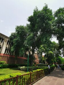 The gardens at Jallingwala Bagh