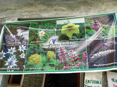 A colourful banner above the door to the pay station at the entrance to the Valley of Flowers, Himalayan India