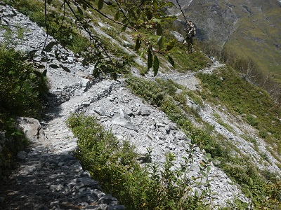 A reasonably flat part of the track high above the river going into the VOF - Himalayan India