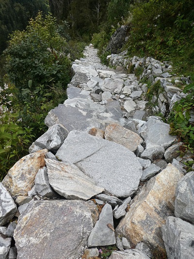 A view down the steep path back towards Gangaria from the Valley of Flowers, Himalayan India