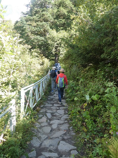 Beginning the walk from the pay station into the Valley of Flowers, Himalayan India