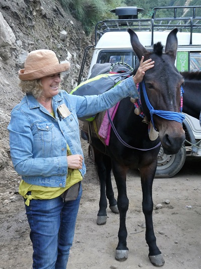 Phyllis getting aquainted with her mountain pony on Valley of Flowers access track, Himalayan India