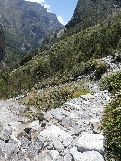 The Valley of Flowers track looking back towards the waterfall and Hemkund track, Himalayan India