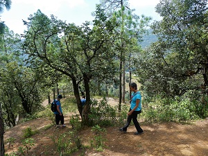 Walking down from Babaji's cave near Kumoan, Himalayan India