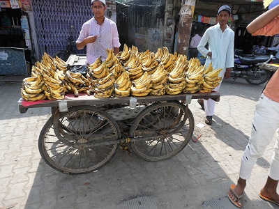 Banana seller on the roadside on the way back to Delhi