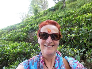 Visiting the tea plantations near Kausani, Himalayan India